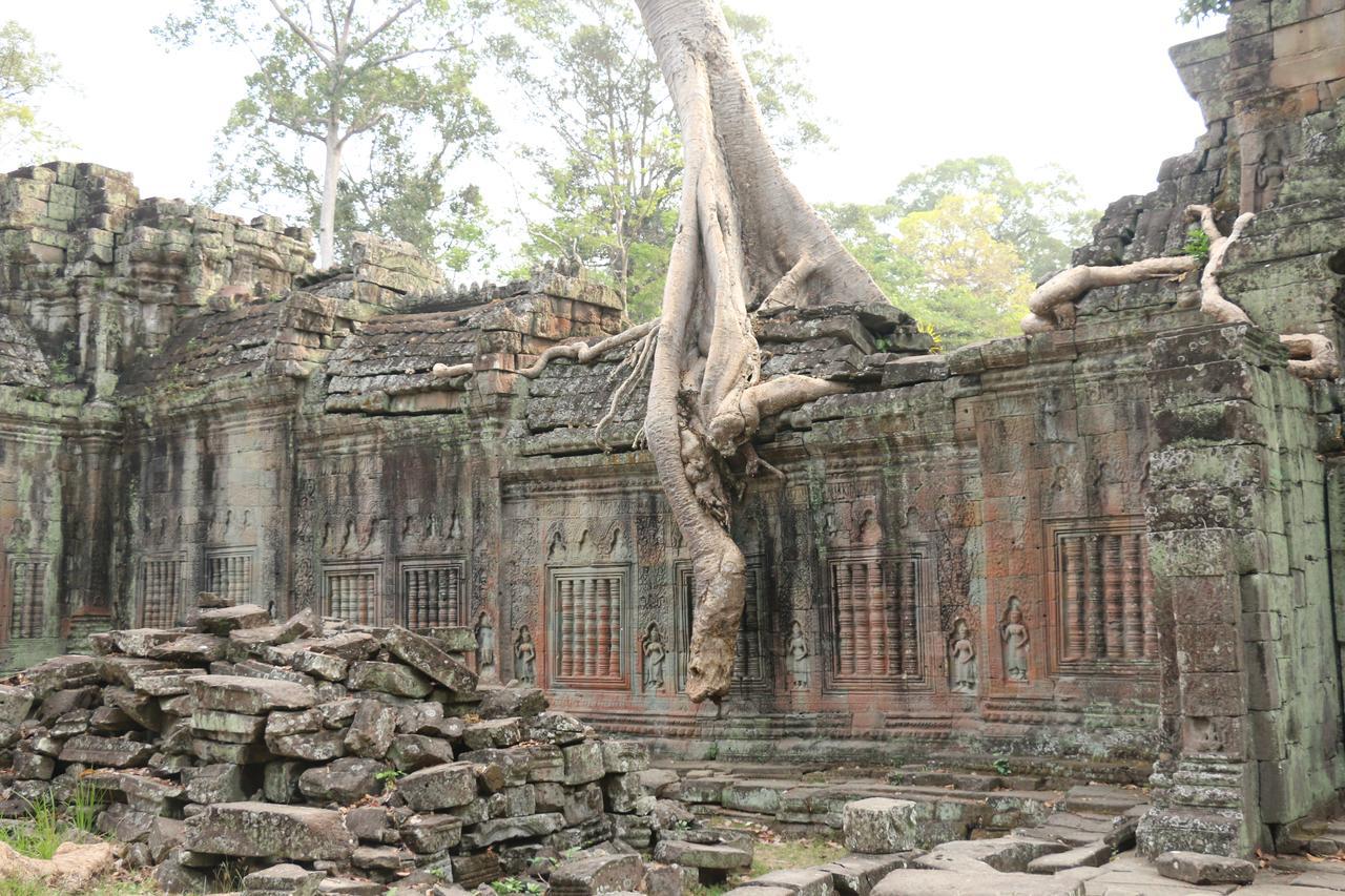 Vilada Angkor Boutique シェムリアップ エクステリア 写真