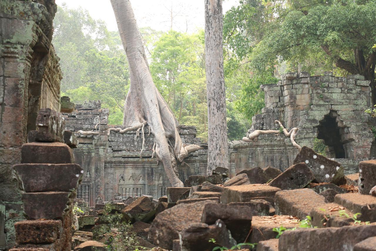 Vilada Angkor Boutique シェムリアップ エクステリア 写真